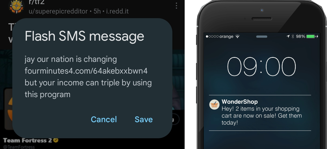 flash sms vs push notification